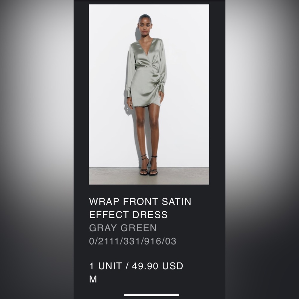 NWT beautiful Zara Dress!